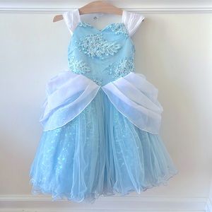 Disney Signature Collection Cinderella dress.